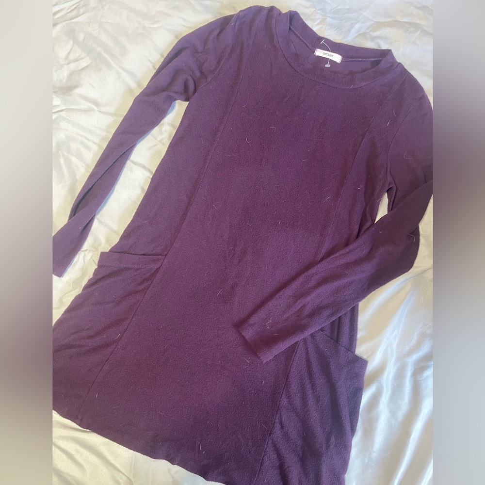 Deep Purple Fleece Dress. Size Medium. Pockets.
